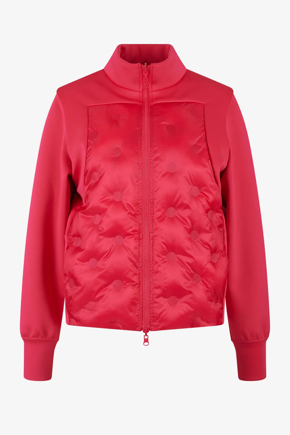 Aufregende Wendejacke mit Stehkragen 01
