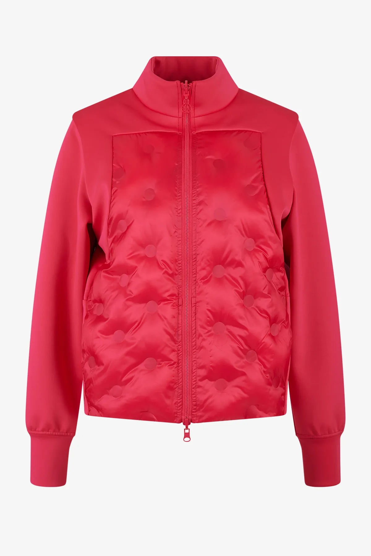 Aufregende Wendejacke mit Stehkragen 01