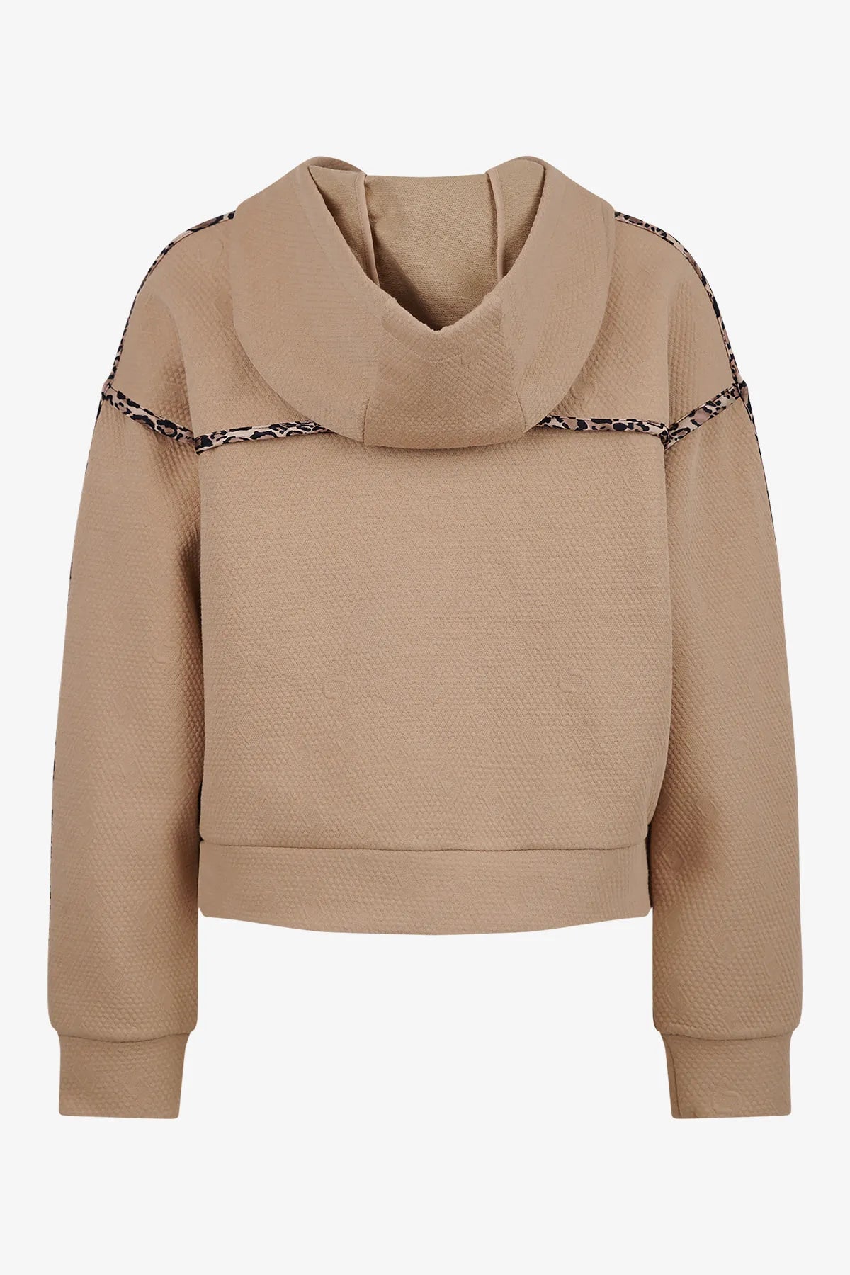 Sweatshirt mit grafischem Logo-Dessin 02