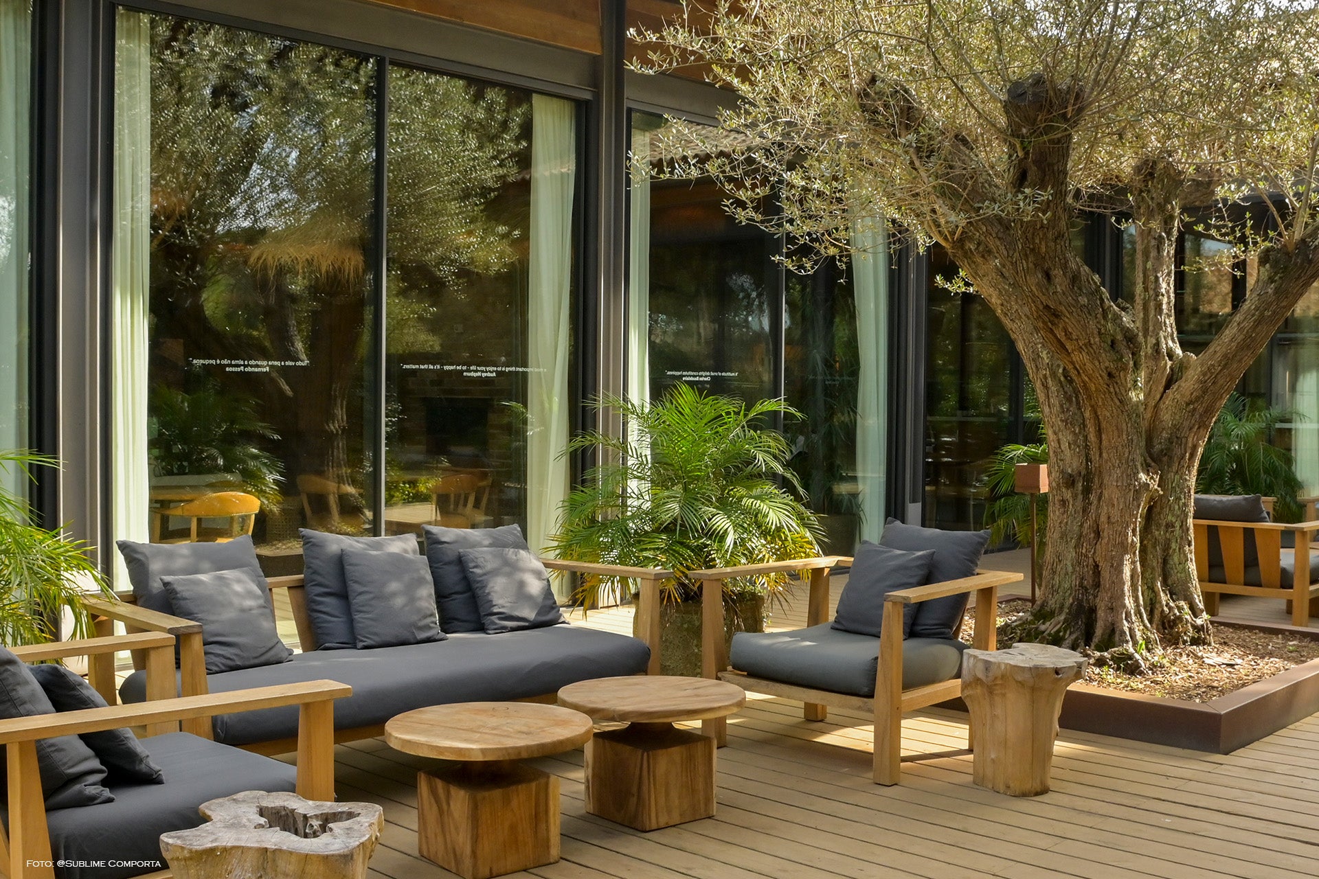 Gemütliche Terrassenmöbel aus Holz mit Kissen, umgeben von Pflanzen und einem Olivenbaum.